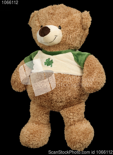 Image of Toy brown soft bear on a black background