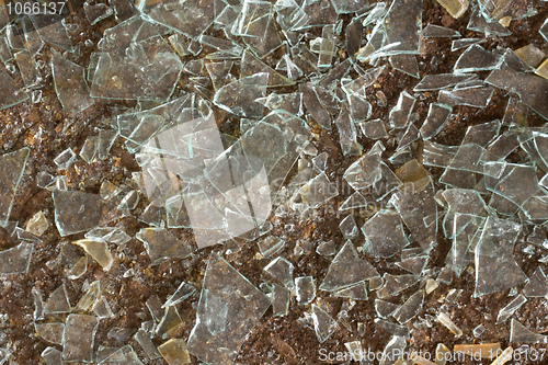 Image of Floor and splinters