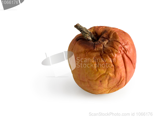 Image of Rotten apple