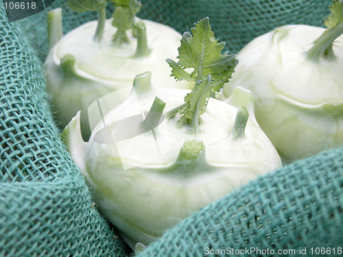 Image of kohlrabi