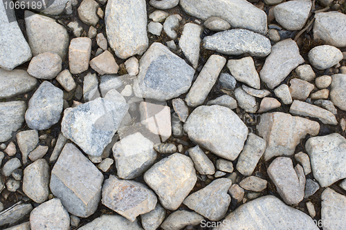 Image of Stony ground