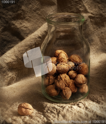 Image of Still-life with nuts