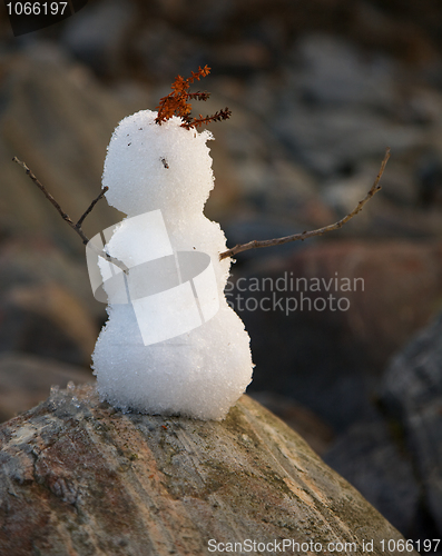 Image of Primitive snowball