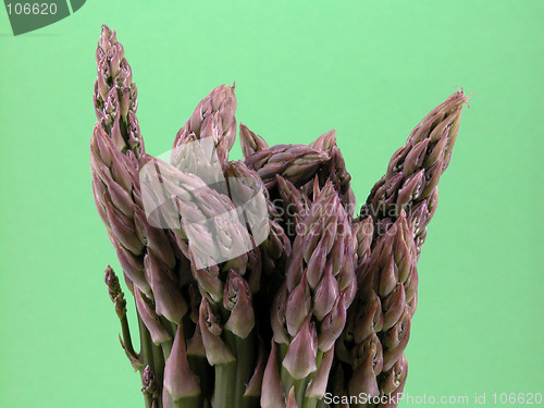 Image of asparagus