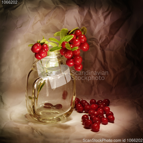 Image of Cowberry