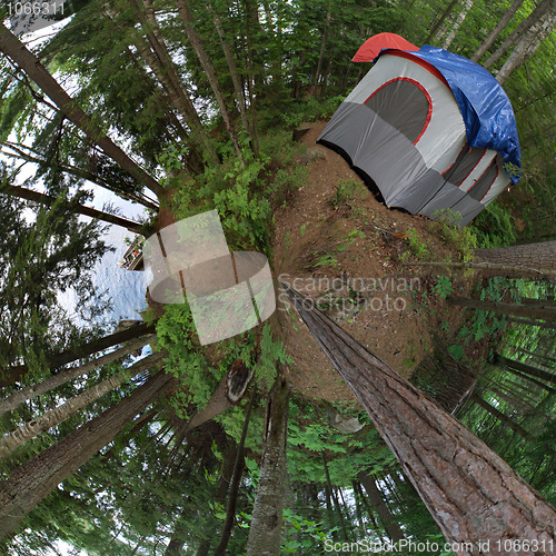 Image of Forest Tent Camping