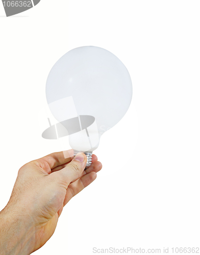 Image of White bulb