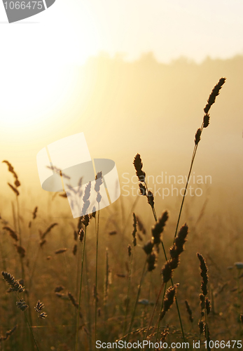 Image of Misty sunrise 