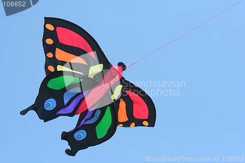 Image of kite