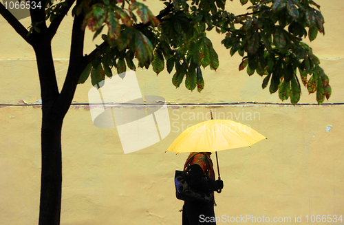 Image of yellow umbrella