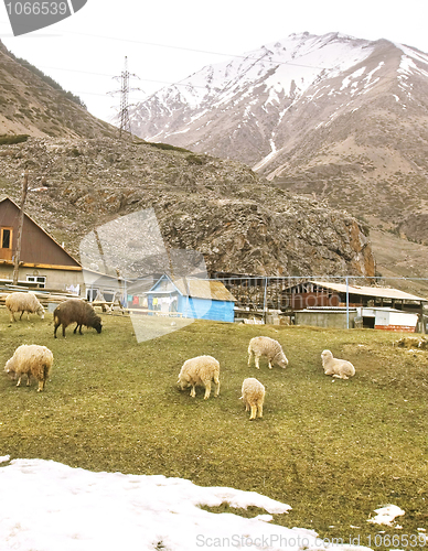 Image of Village in Caucasus mountain