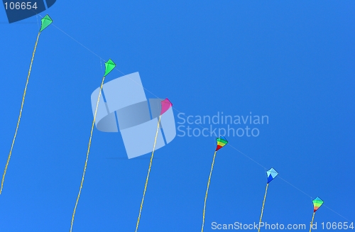 Image of kites