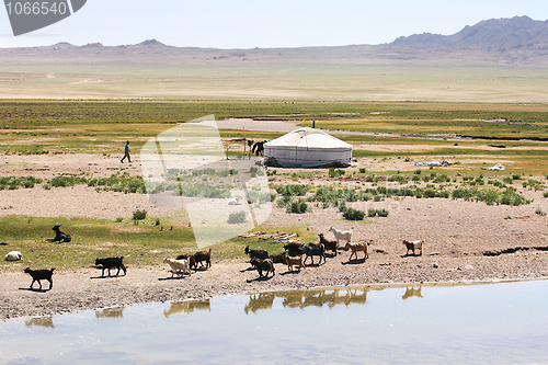 Image of Mongolia