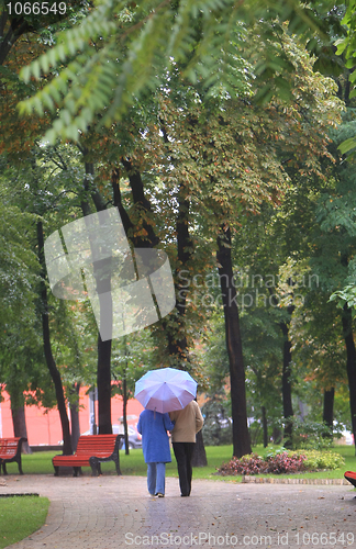 Image of walk in autumn park