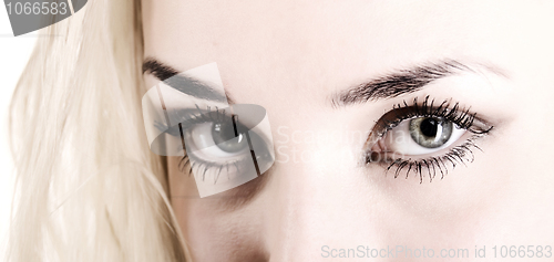 Image of Photo of woman eyes