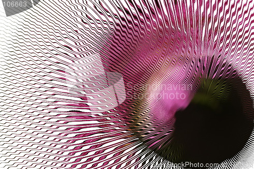 Image of pink abstract black hole