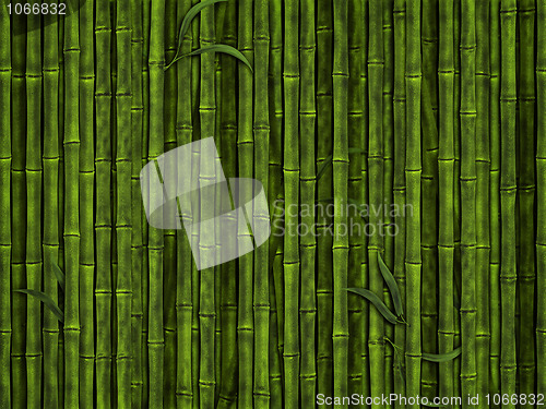Image of bamboo forest