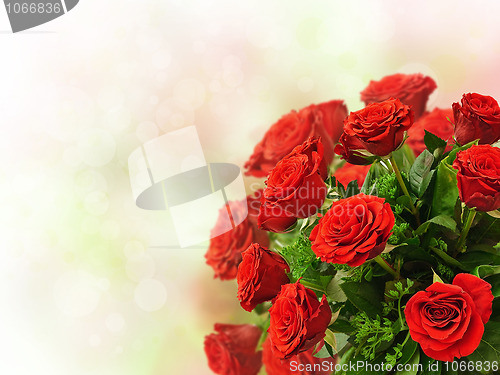 Image of roses