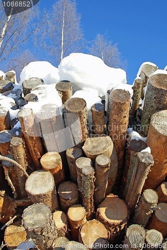 Image of Wood Fuel Logs in Winter