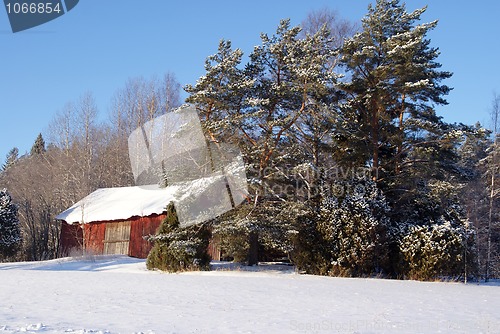 Image of Red Barn and Trees in Winter Snow