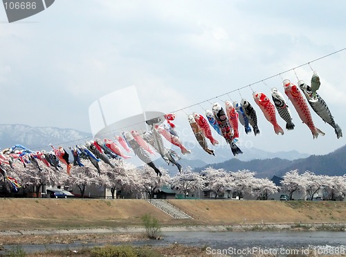 Image of Flying carps in a mountains valley