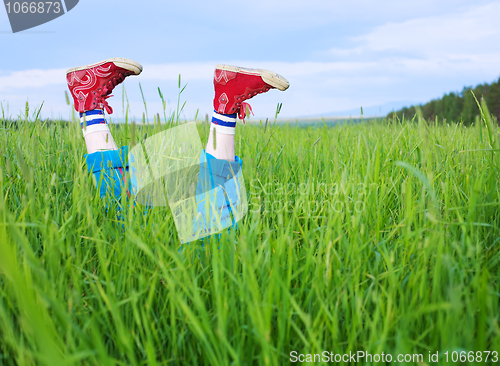 Image of Legs, in a green grass