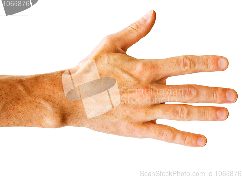 Image of Hand on white
