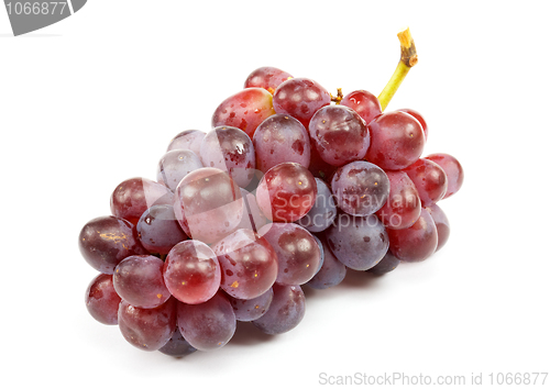 Image of Cluster of ripe grapes