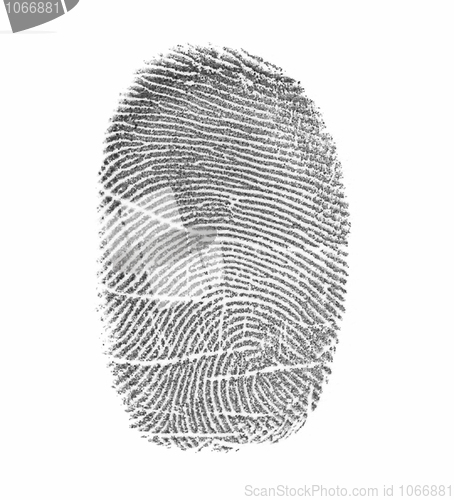 Image of Fingerprint