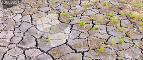 Image of Surface of ground