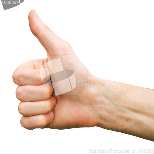 Image of Thumb up