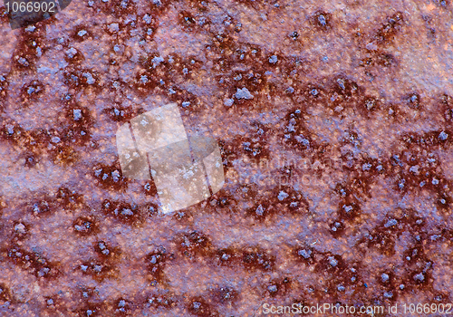 Image of Grunge rusty metal