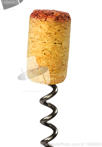 Image of Cork and a corkscrew