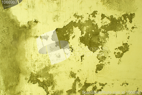 Image of The peeled wall