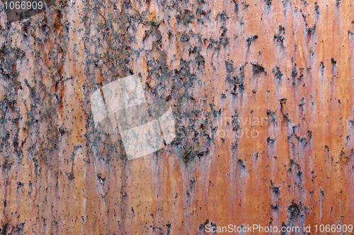 Image of Metal old rusty surface