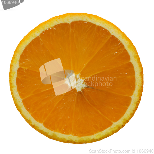 Image of Thin slice of an orange