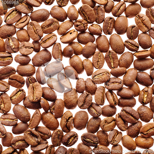 Image of coffee grains