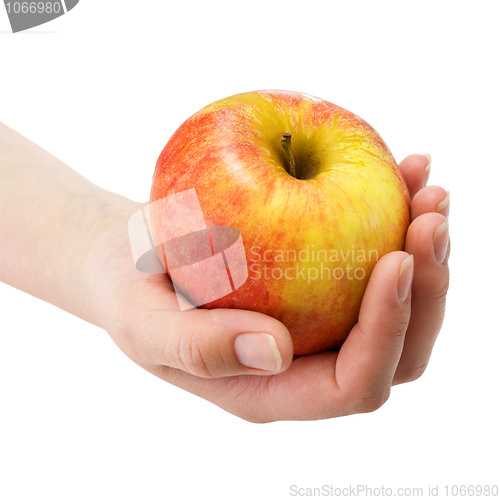 Image of Apple in a hand