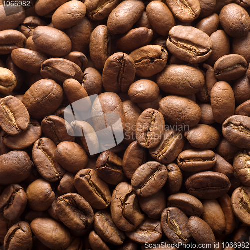 Image of Coffee grains