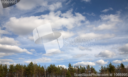 Image of Clouds above a wood