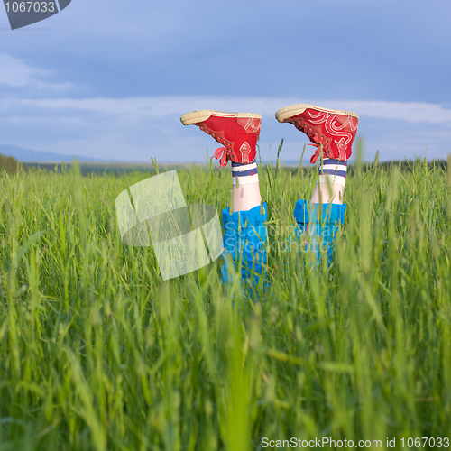 Image of Legs, in a green grass