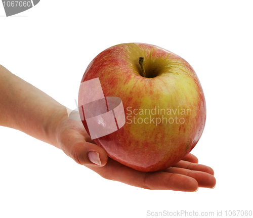 Image of Big red apple