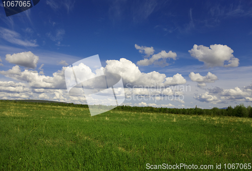 Image of Green field