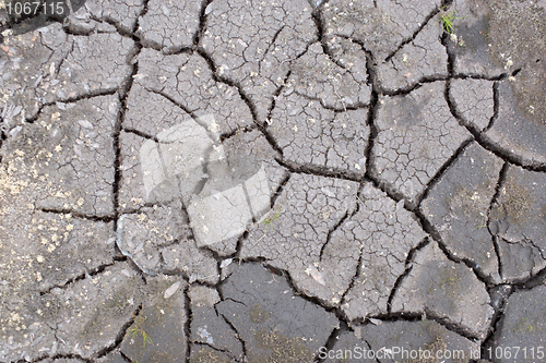 Image of The cracked surface