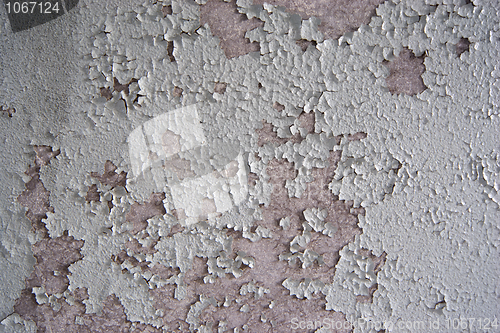 Image of The old wall