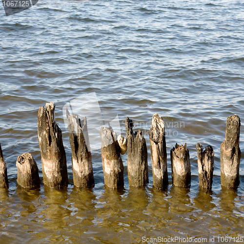 Image of Rotten columns