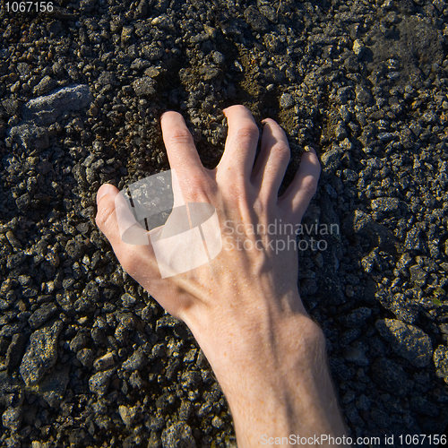 Image of Hand clinging stony ground