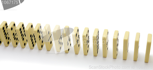Image of Bones of a dominoe