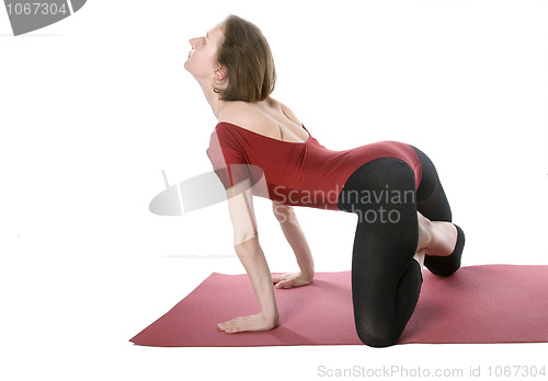 Image of Exercising woman