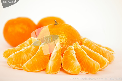 Image of Creative mandarin